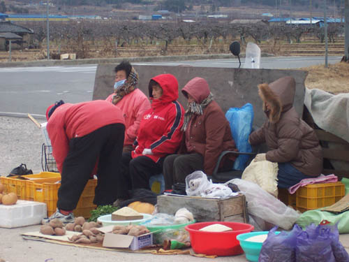 강추위에 완전무장한 상인분들 